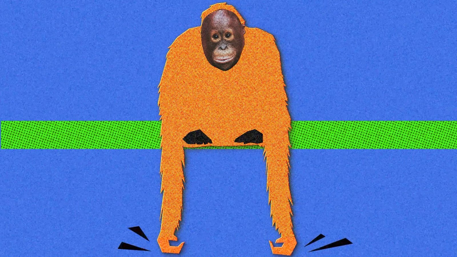 SDK Orang-Outan WWF hover