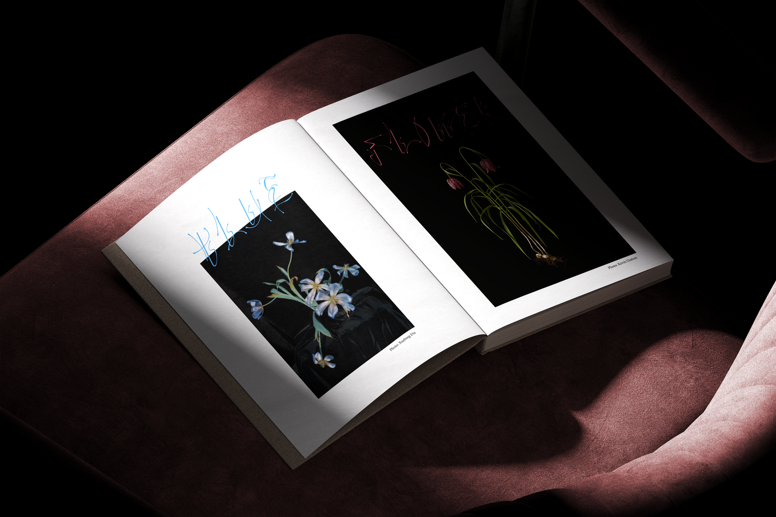 Typographie modulaire — mockup 1